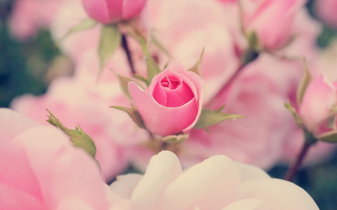 June Is Bustin Out All Over!