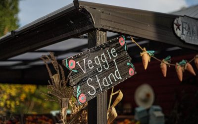 Autumnal Equinox and Harvest: Keep On Keeping On