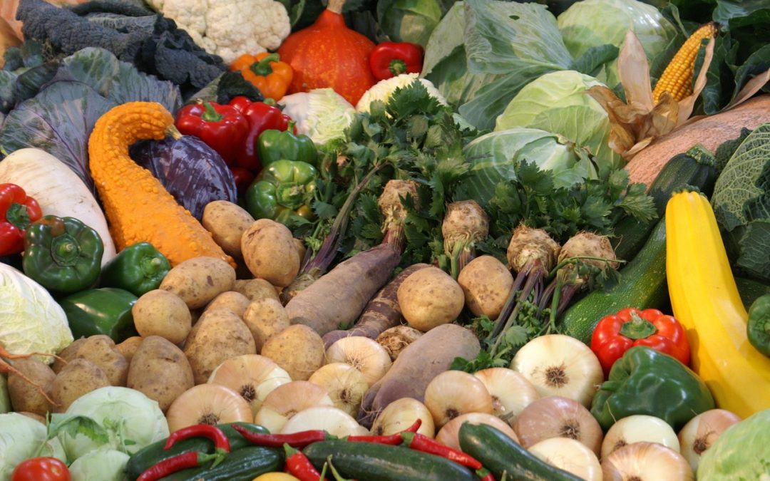 Welcome Homesteading LifeStylers! To Appreciation Day-November 27th